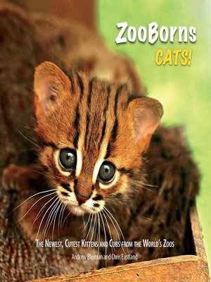cover image of ZooBorns Cats!